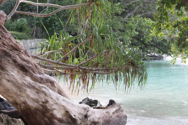 Swim in privacy at Santo Saffire's private beachfront, luxury private retreat Espiritu Santo Vanuatu